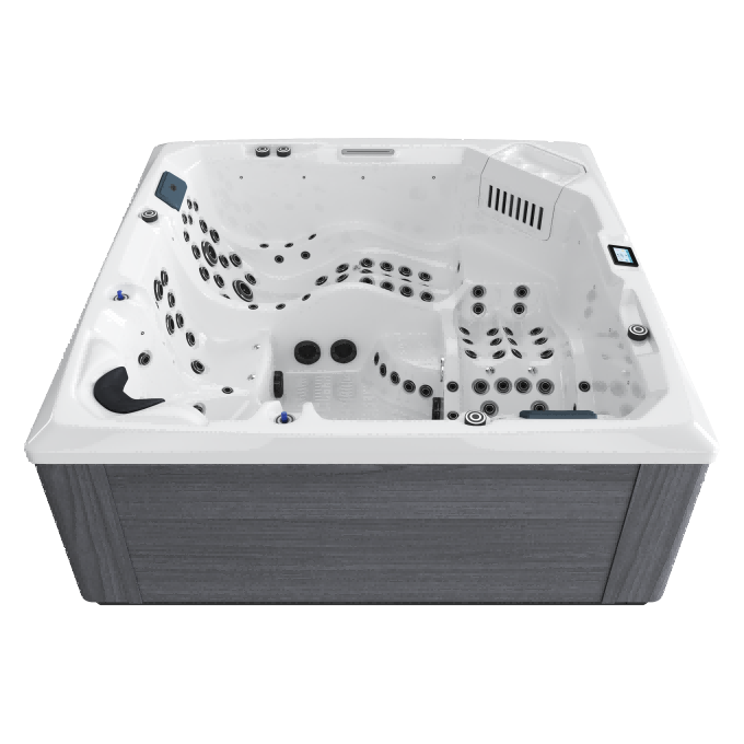 AMPHITRITE Gray Plume White