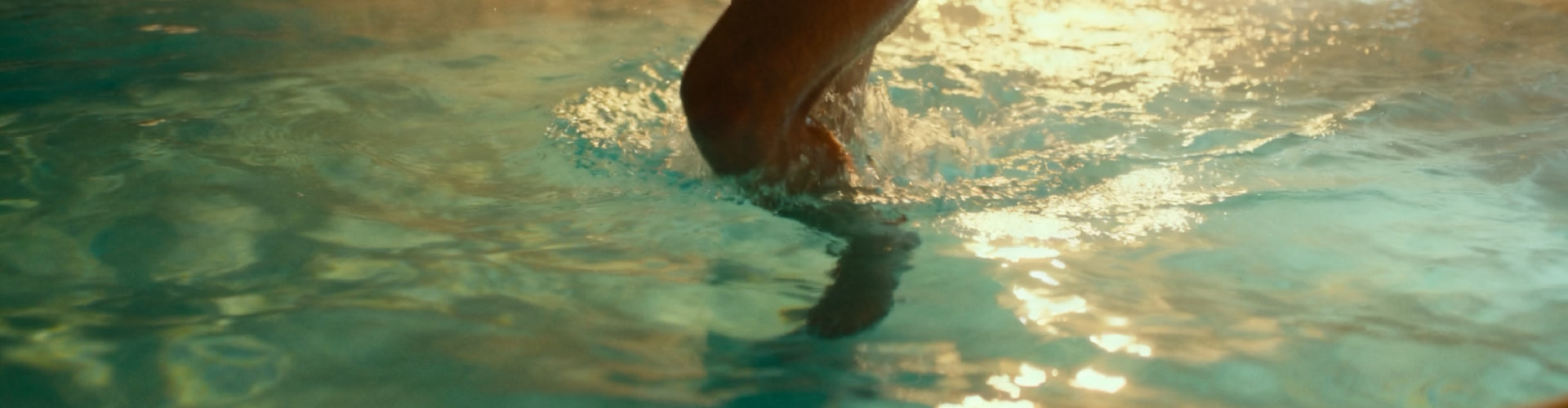 7-Effective-Hot-Tub-Exercises-for-Fitness (4).png